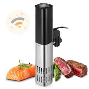 Decen Sous Vide Cooker, Wifi 800W Precision Cooker D25R