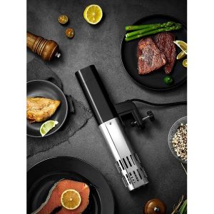 Decen Sous Vide Cooker Wifi 800W Precision Cooker D25R 2